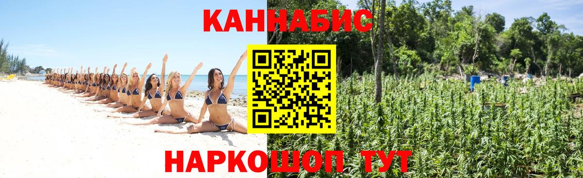 Марихуана White Widow  МАРИХУАНА планчик  Вход с VPN  Каннабис OG Kush  Волхов 